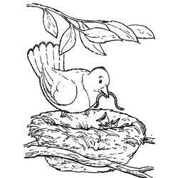 Раскраска: Земля-червь (Животные) #18795 - Раскраски для печати