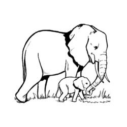 Раскраска: слон (Животные) #6300 - Раскраски для печати