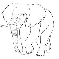 Раскраска: слон (Животные) #6316 - Раскраски для печати