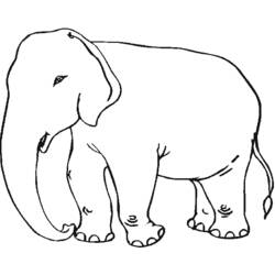 Раскраска: слон (Животные) #6342 - Бесплатные раскраски для печати