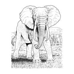 Раскраска: слон (Животные) #6395 - Раскраски для печати