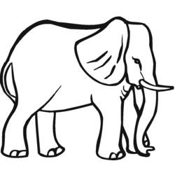 Раскраска: слон (Животные) #6401 - Раскраски для печати