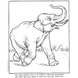 Раскраска: слон (Животные) #6418 - Раскраски для печати