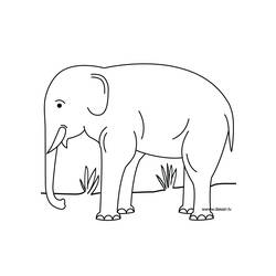 Раскраска: слон (Животные) #6440 - Бесплатные раскраски для печати
