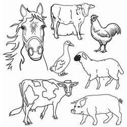 Раскраска: Сельскохозяйственные животные (Животные) #21381 - Раскраски для печати