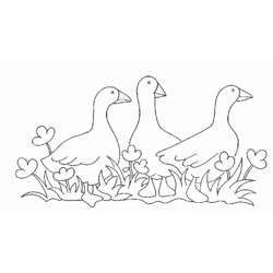 Раскраска: Сельскохозяйственные животные (Животные) #21445 - Бесплатные раскраски для печати