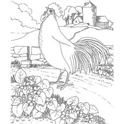 Раскраска: Сельскохозяйственные животные (Животные) #21459 - Бесплатные раскраски для печати