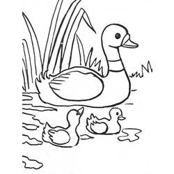 Раскраска: Сельскохозяйственные животные (Животные) #21488 - Бесплатные раскраски для печати