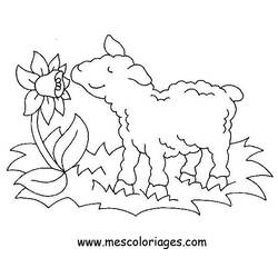 Раскраска: Сельскохозяйственные животные (Животные) #21501 - Бесплатные раскраски для печати