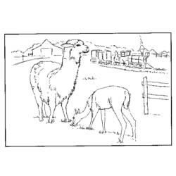 Раскраска: Сельскохозяйственные животные (Животные) #21530 - Бесплатные раскраски для печати