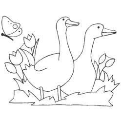 Раскраска: Сельскохозяйственные животные (Животные) #21544 - Бесплатные раскраски для печати