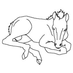 Раскраска: Сельскохозяйственные животные (Животные) #21621 - Бесплатные раскраски для печати