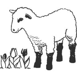 Раскраска: Сельскохозяйственные животные (Животные) #21645 - Бесплатные раскраски для печати
