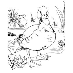 Раскраска: Сельскохозяйственные животные (Животные) #21659 - Бесплатные раскраски для печати