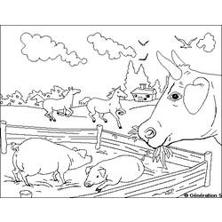 Раскраска: Сельскохозяйственные животные (Животные) #21663 - Раскраски для печати