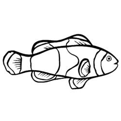 Раскраска: рыба (Животные) #17021 - Бесплатные раскраски для печати