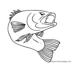 Раскраска: рыба (Животные) #17040 - Раскраски для печати