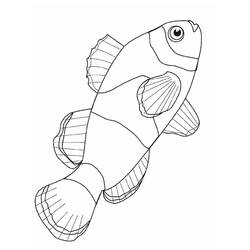 Раскраска: рыба (Животные) #17045 - Раскраски для печати