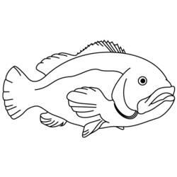 Раскраска: рыба (Животные) #17124 - Раскраски для печати