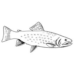 Раскраска: рыба (Животные) #17136 - Раскраски для печати