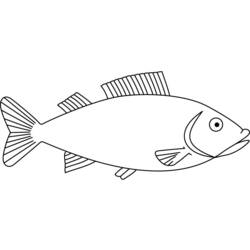 Раскраски: рыба - Раскраски для печати