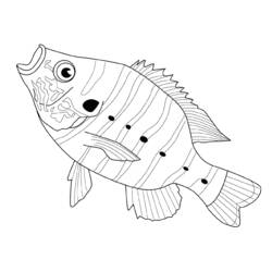 Раскраска: рыба (Животные) #17201 - Бесплатные раскраски для печати