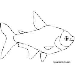 Раскраска: рыба (Животные) #17205 - Раскраски для печати