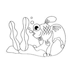 Раскраска: рыба (Животные) #17207 - Бесплатные раскраски для печати
