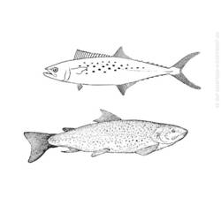 Раскраска: рыба (Животные) #17209 - Бесплатные раскраски для печати