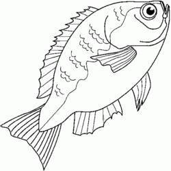 Раскраска: рыба (Животные) #17217 - Бесплатные раскраски для печати