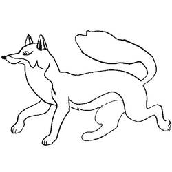 Раскраска: лисица (Животные) #14962 - Раскраски для печати
