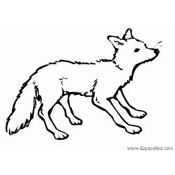 Раскраска: лисица (Животные) #14963 - Раскраски для печати