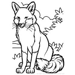 Раскраска: лисица (Животные) #14965 - Раскраски для печати