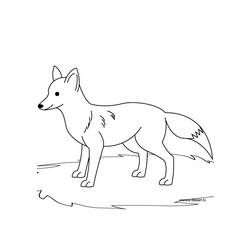 Раскраска: лисица (Животные) #14970 - Раскраски для печати