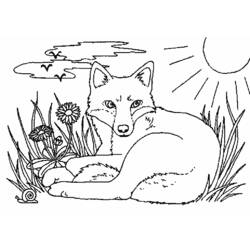 Раскраска: лисица (Животные) #15009 - Раскраски для печати