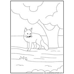 Раскраска: лисица (Животные) #15021 - Раскраски для печати
