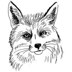 Раскраска: лисица (Животные) #15044 - Раскраски для печати