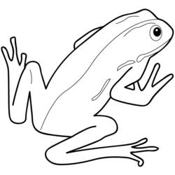 Раскраска: лягушка (Животные) #7596 - Раскраски для печати