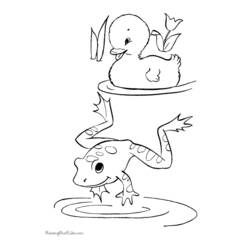 Раскраска: лягушка (Животные) #7599 - Бесплатные раскраски для печати