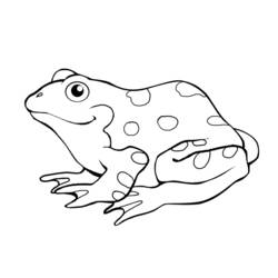 Раскраски: лягушка - Раскраски для печати