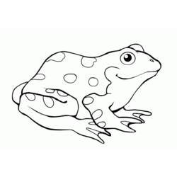 Раскраска: лягушка (Животные) #7615 - Раскраски для печати