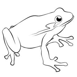 Раскраска: лягушка (Животные) #7642 - Раскраски для печати