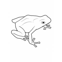 Раскраска: лягушка (Животные) #7679 - Бесплатные раскраски для печати