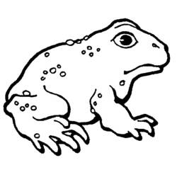Раскраска: лягушка (Животные) #7688 - Раскраски для печати