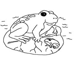 Раскраска: лягушка (Животные) #7715 - Бесплатные раскраски для печати