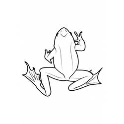 Раскраска: лягушка (Животные) #7760 - Бесплатные раскраски для печати