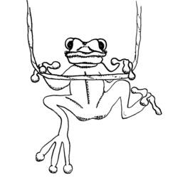 Раскраска: лягушка (Животные) #7763 - Бесплатные раскраски для печати