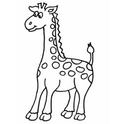 Раскраска: жираф (Животные) #7218 - Раскраски для печати