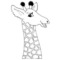 Раскраска: жираф (Животные) #7221 - Раскраски для печати