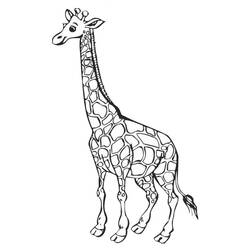 Раскраска: жираф (Животные) #7226 - Бесплатные раскраски для печати